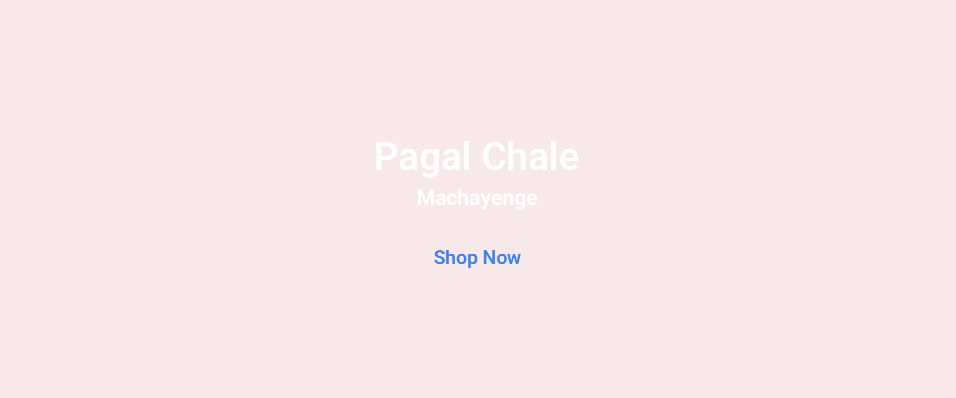 Promotional Banner 4 (Desktop)